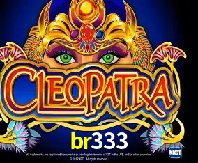 Cadastro rápido e seguro na br333