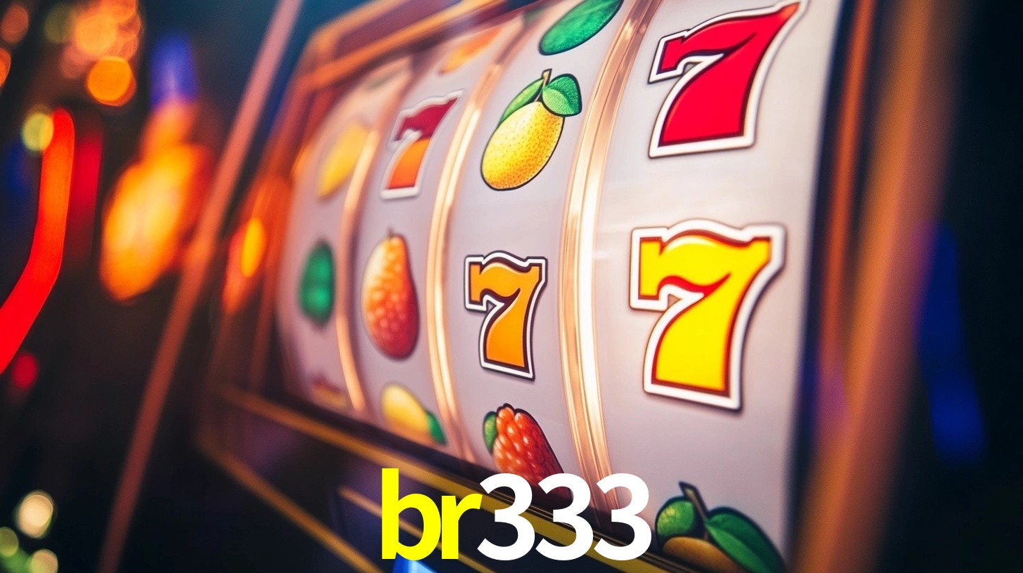 br333 App Interface