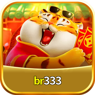 br333